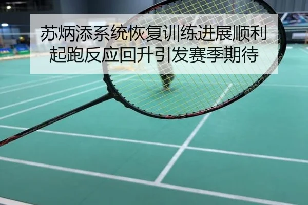 苏炳添系统恢复训练进展顺利 起跑反应回升引发赛季期待